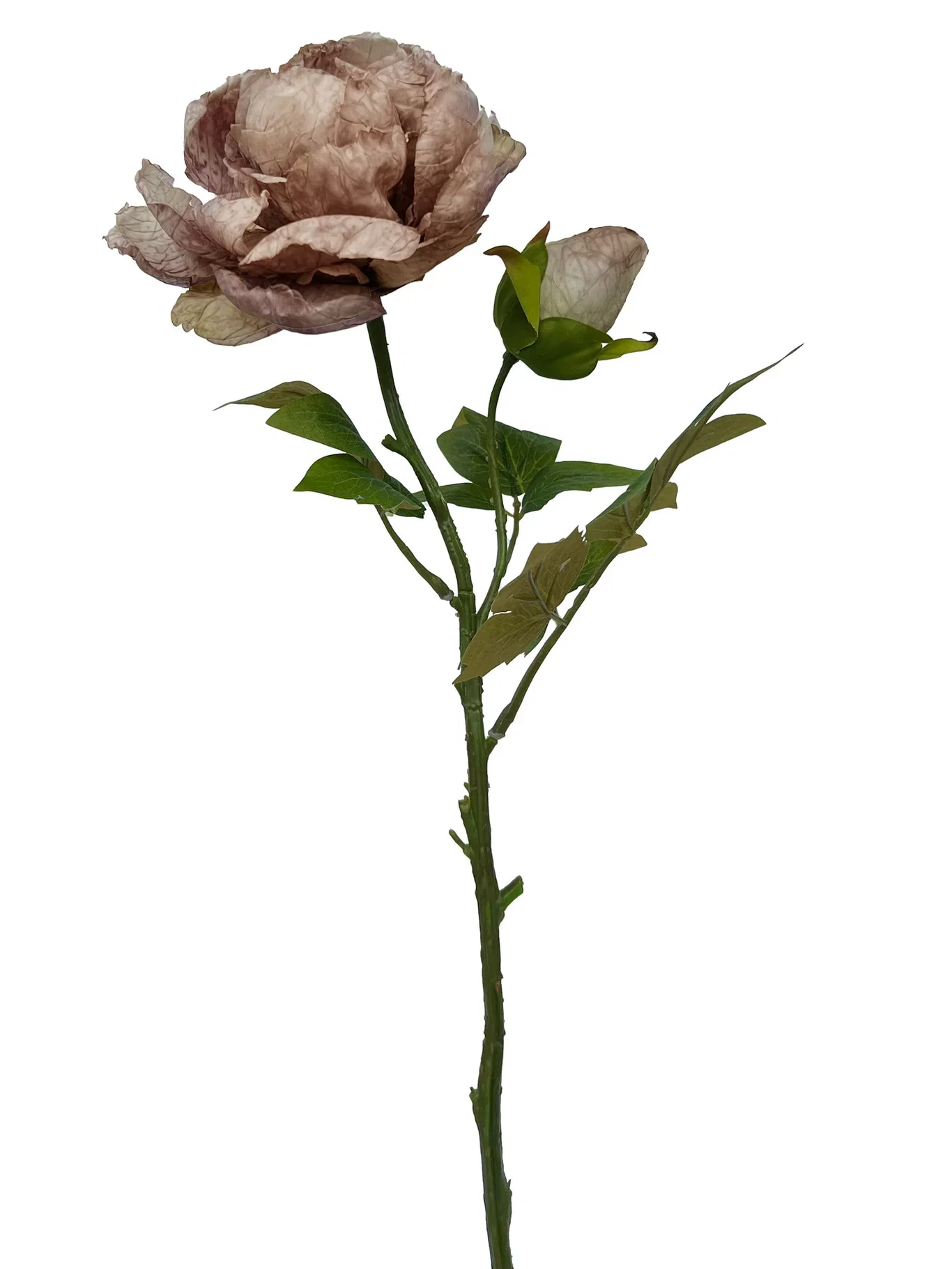 Pion snitt kunstig Høyde 62 cm