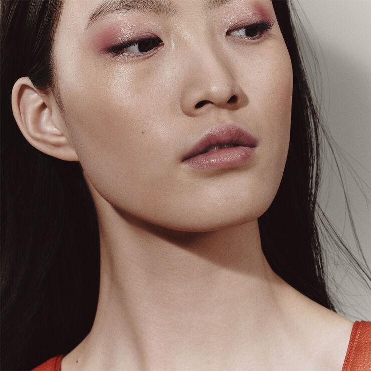 HERMÈS Ombres d'Hermès, powder quartet for the eyes, Ombres pétales