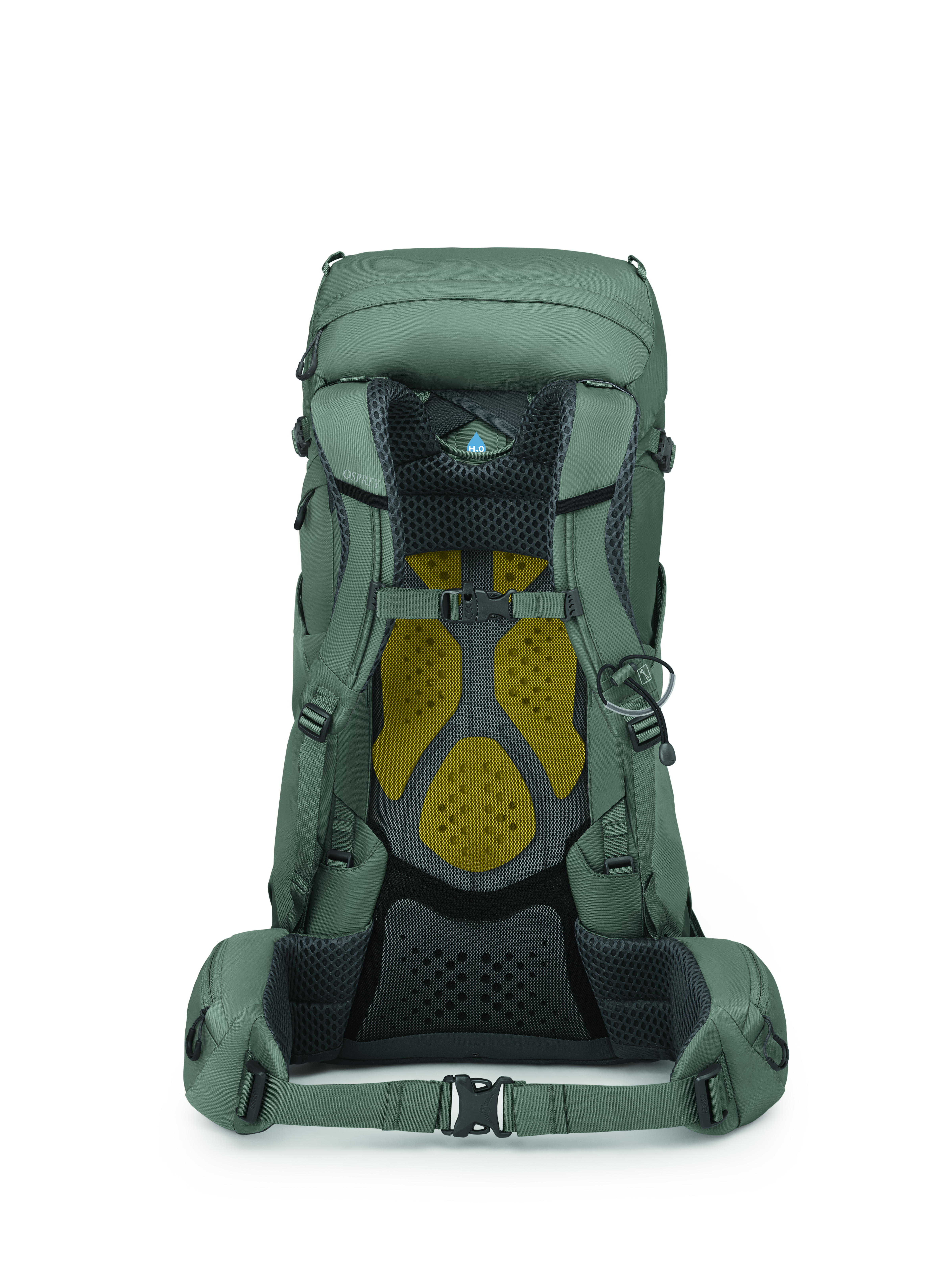 Kyte 38
