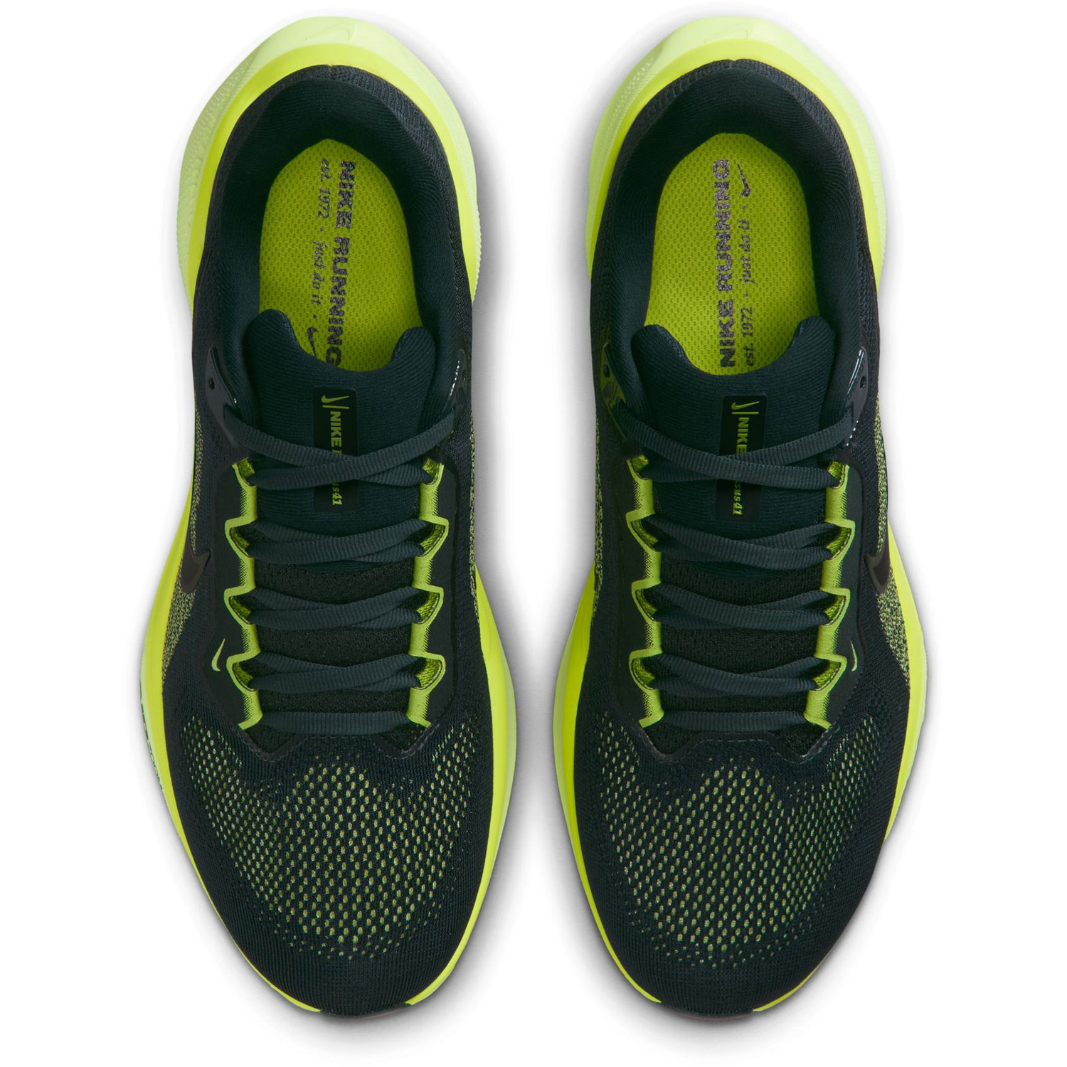 Nike Pegasus 41 Dames