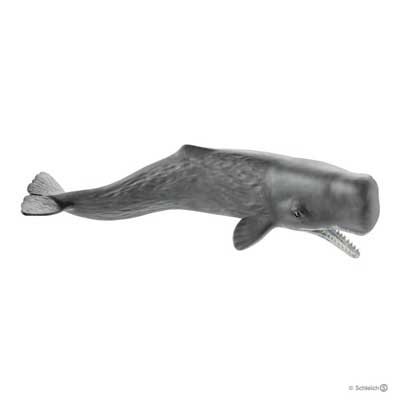 Sperm Whale
