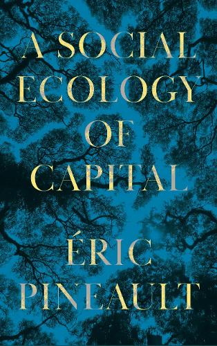 A Social Ecology of Capital (Paperback)