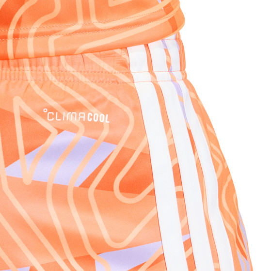 adidas Tiro 26 Competition Keeperstenue