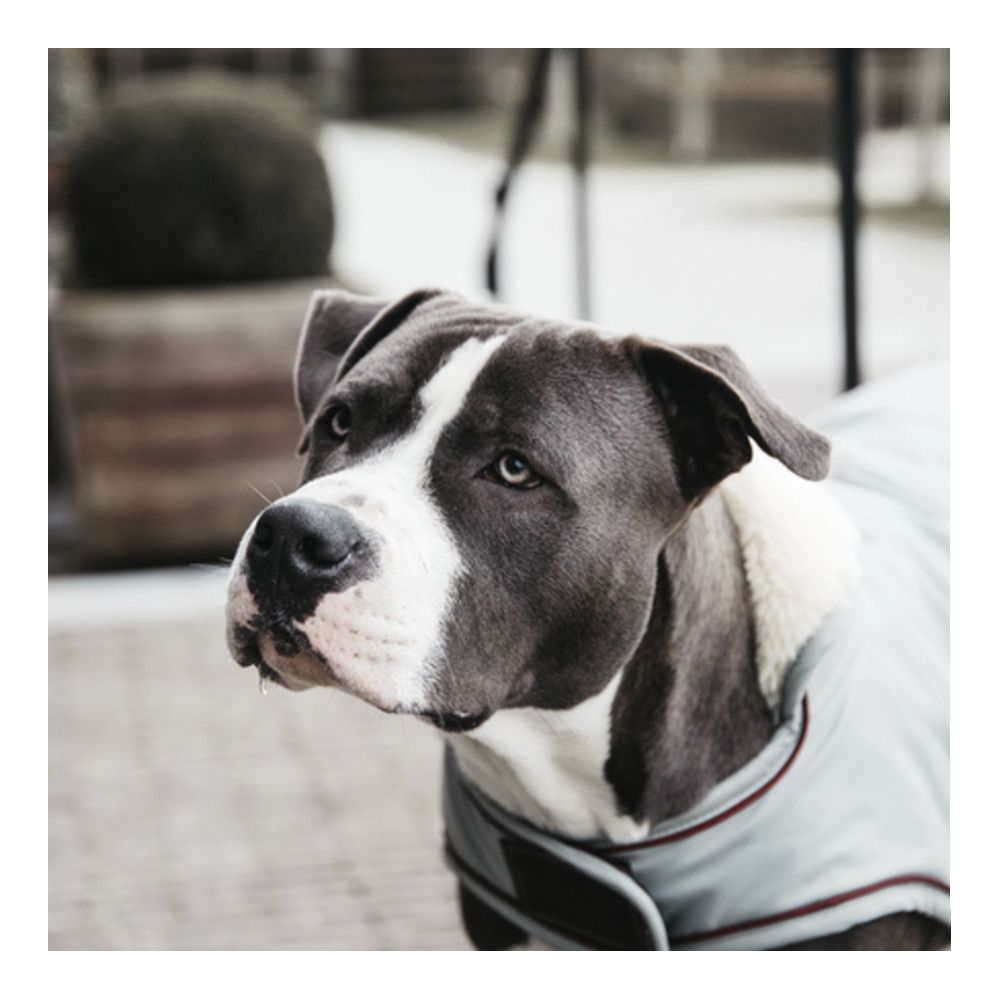 Kentucky 52244 160G - Couverture pour chien dusty blue