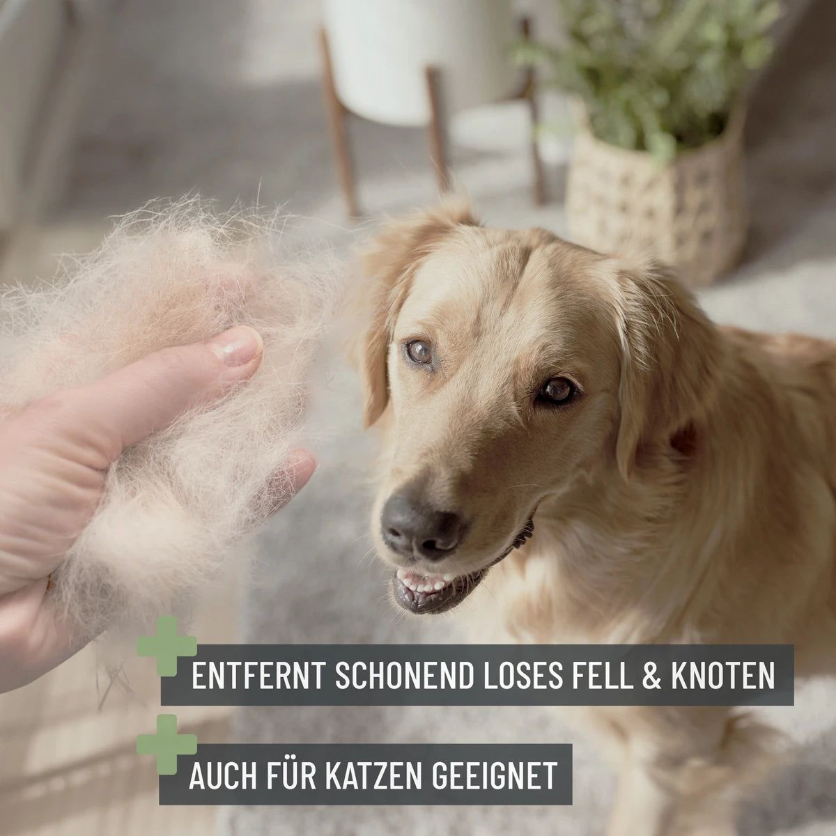 Zupfbürste - ReaVET