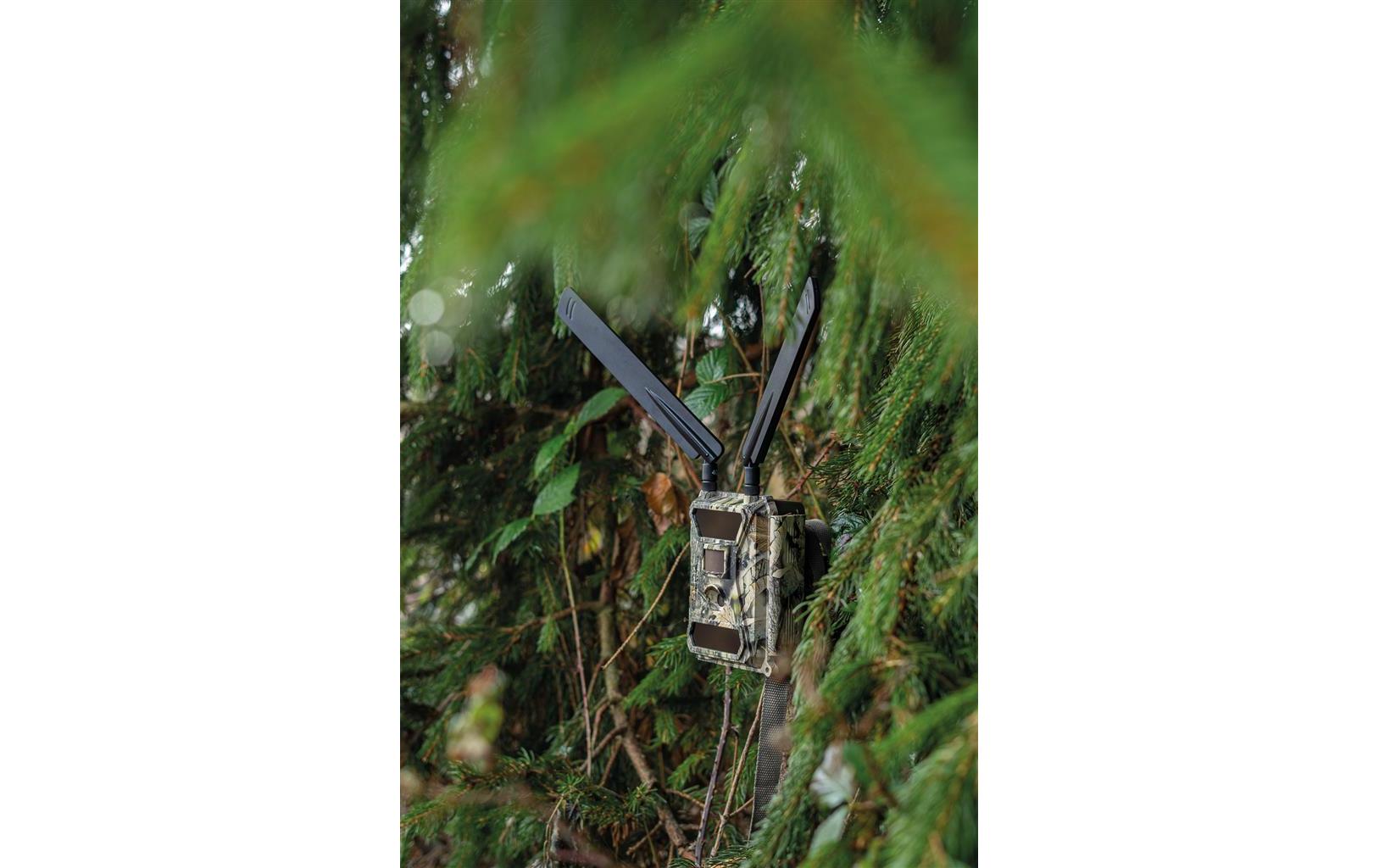 Antenne SnapShot Cloud 4GPassende Antenne zu der Wildkamera SnapShot Cloud 4G