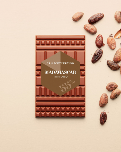 Tablette Madagascar Chocolat au Lait 55% | Le Chocolat Alain Ducasse 75g