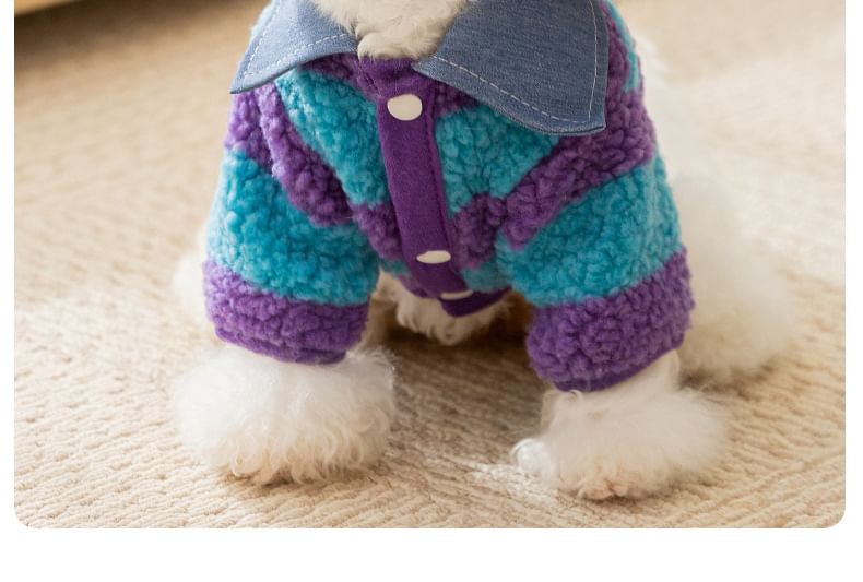Cissilli - Gestreepte Chenille Pet Top met Applique en Kraag