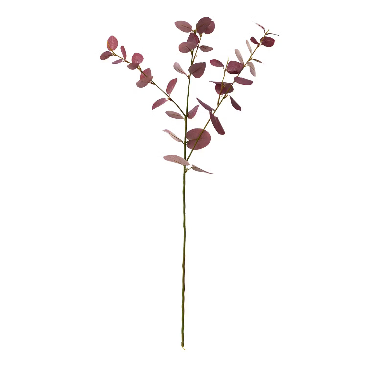 FLORISTA Eukalyptuszweig 4er-Set