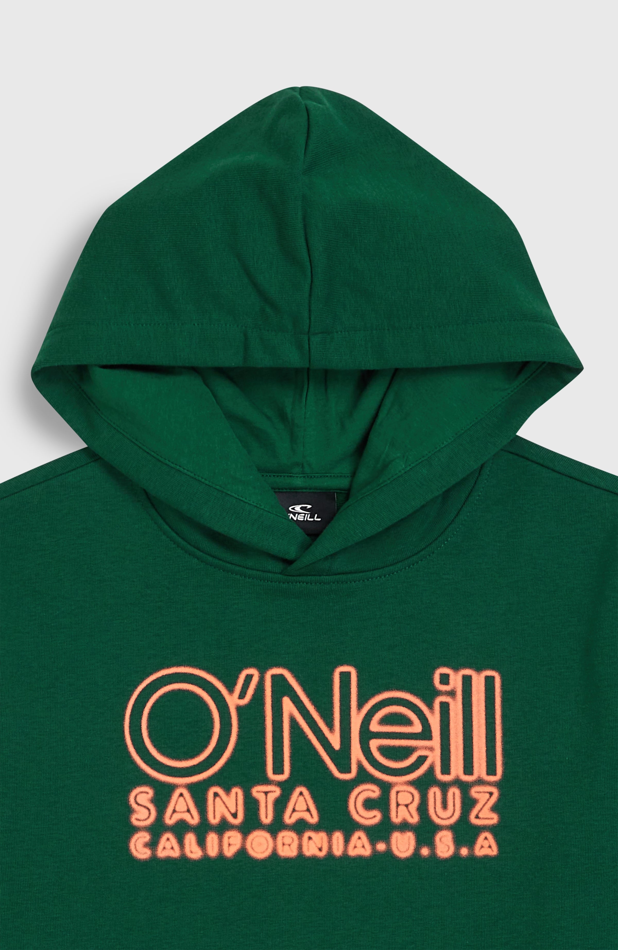 Essentials hoodie