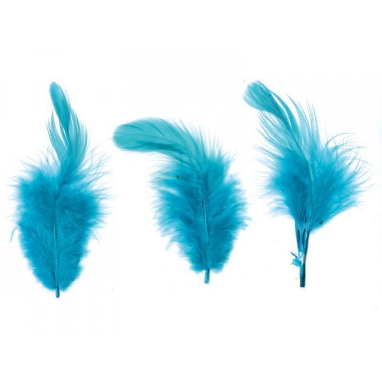 Softfedern