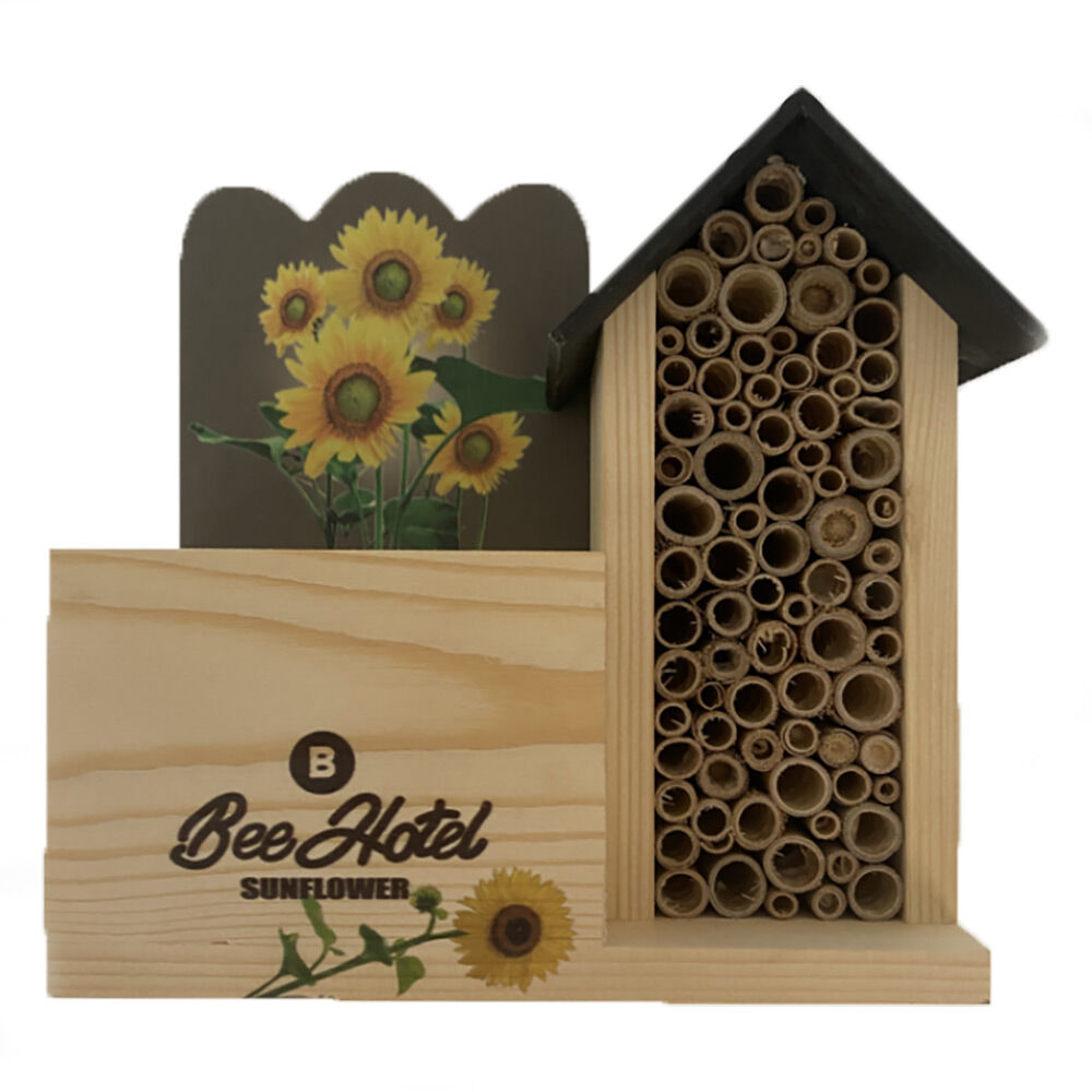 Hôtel à insectes + plantation L18,5 x l9 x H18 cm