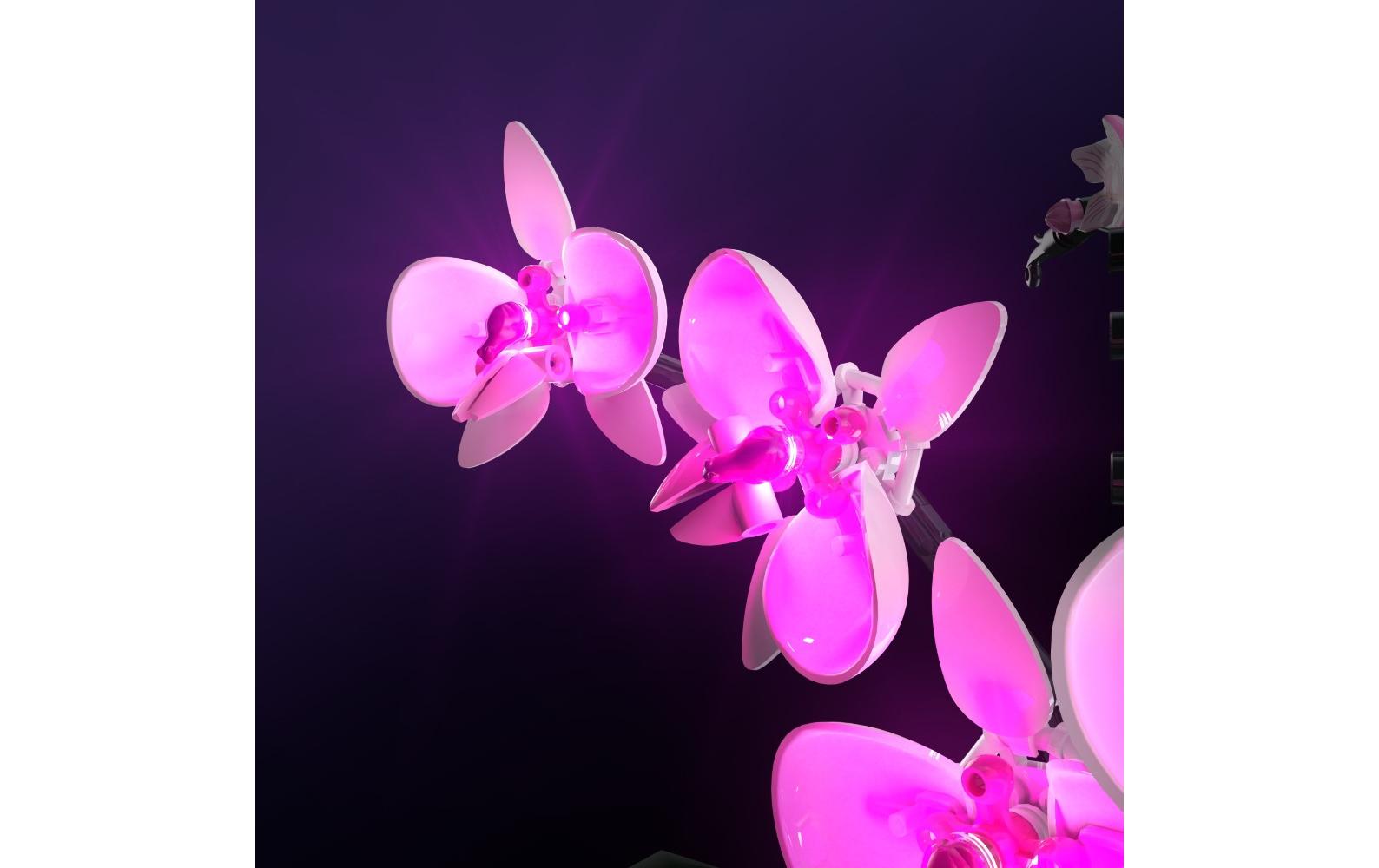 LED-Licht-Set für LEGO® Orchidee 10311Light-Kit