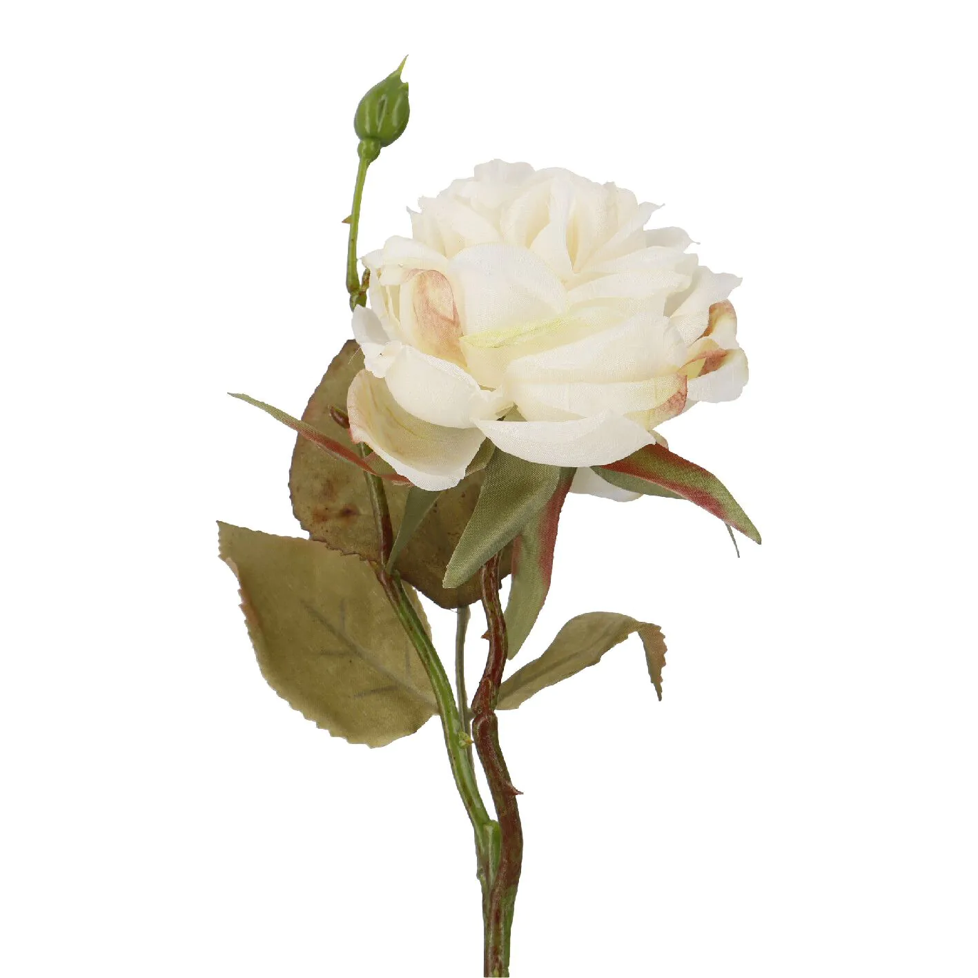 Rose Mathilda, creme, 45 cm