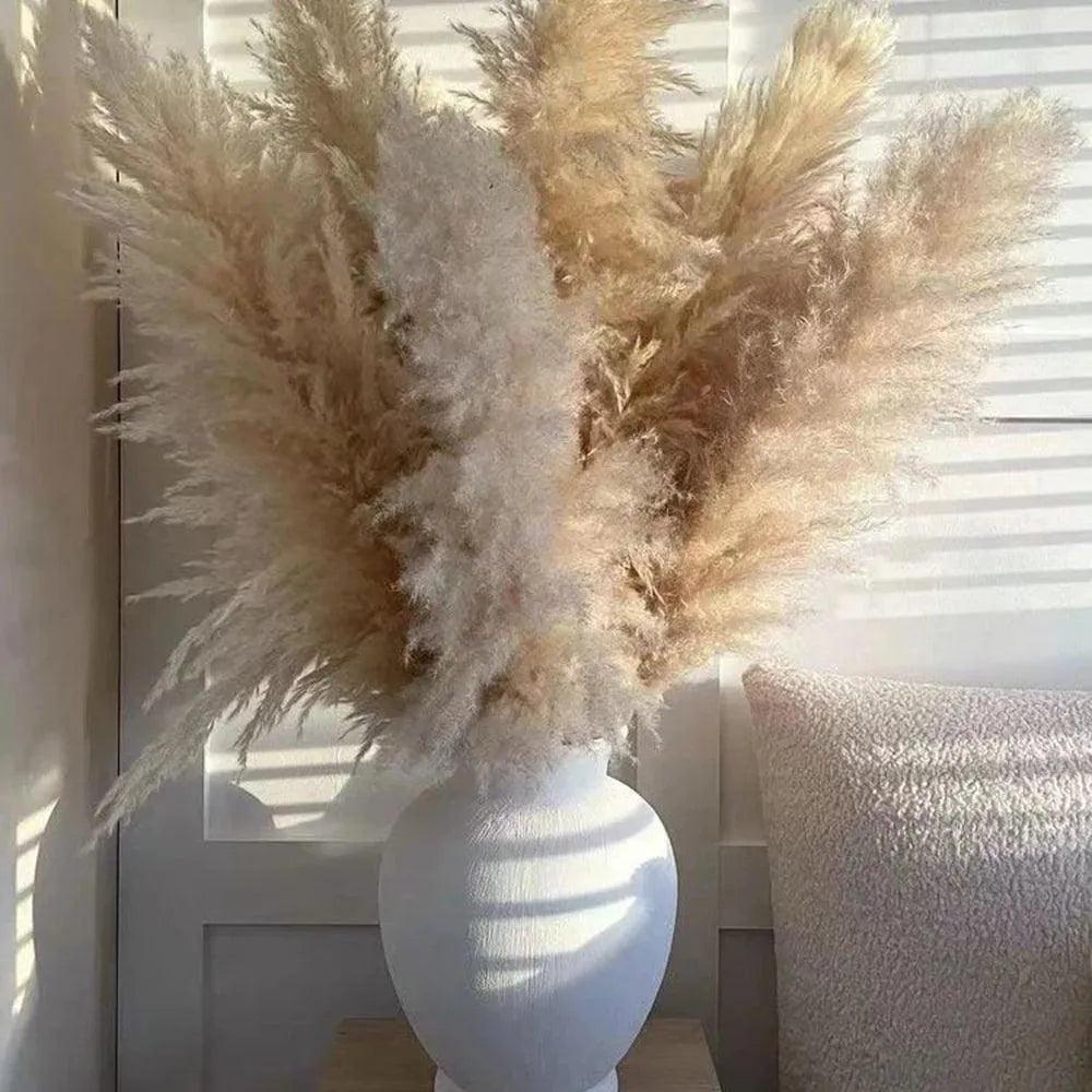 80 cm Natural Real Dried Pampas Grass Bouquet (White / Beige / Gray) | Fluffy Feather For Modern Boho Home Decoration Ornament