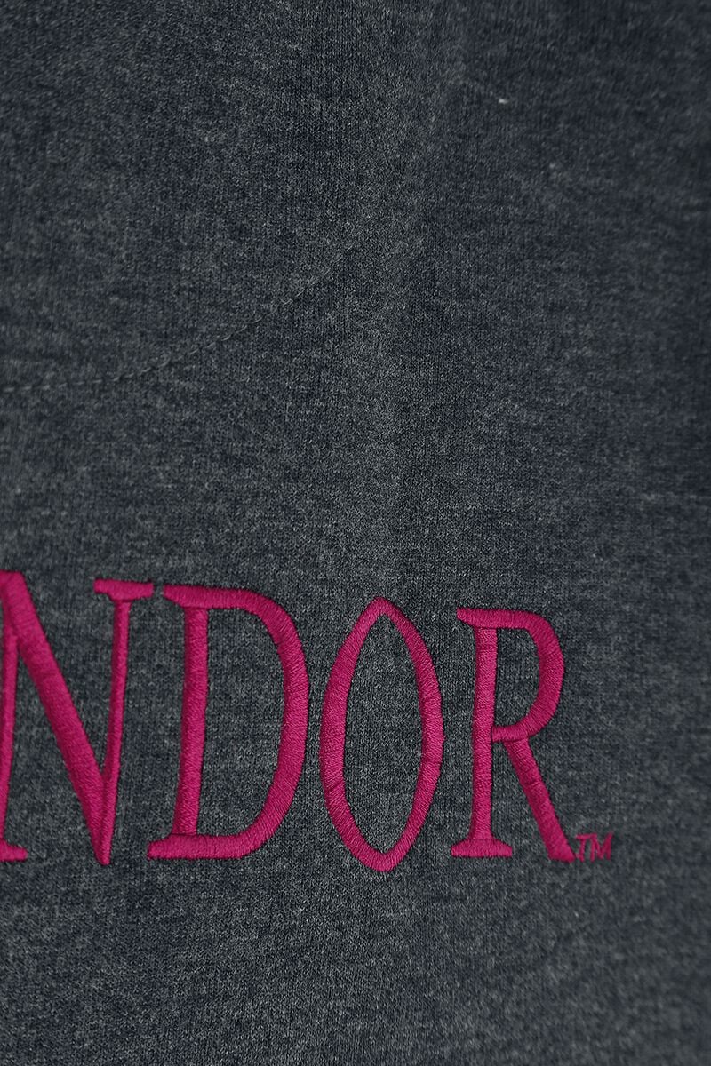 Gryffondor Sport | Harry Potter Sweat-shirt zippé à capuche