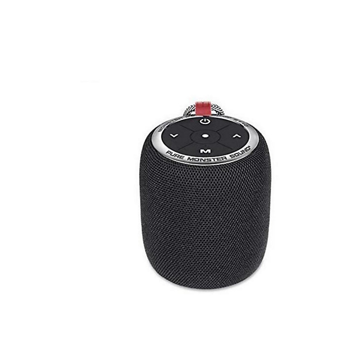 Enceinte connectée Pure Monster Sound S110