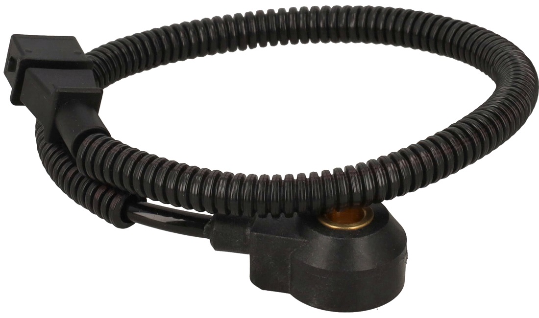 Bankesensor