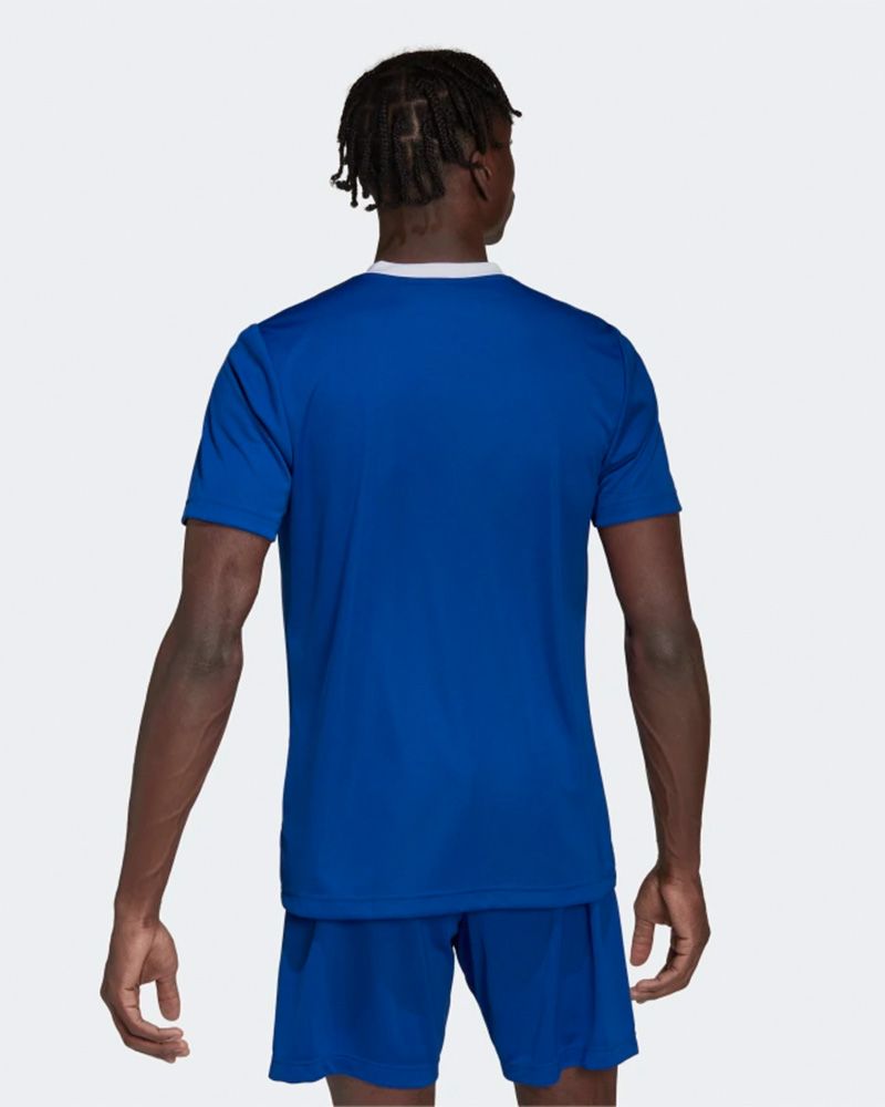 Maillot adidas Entrada 22 pour homme