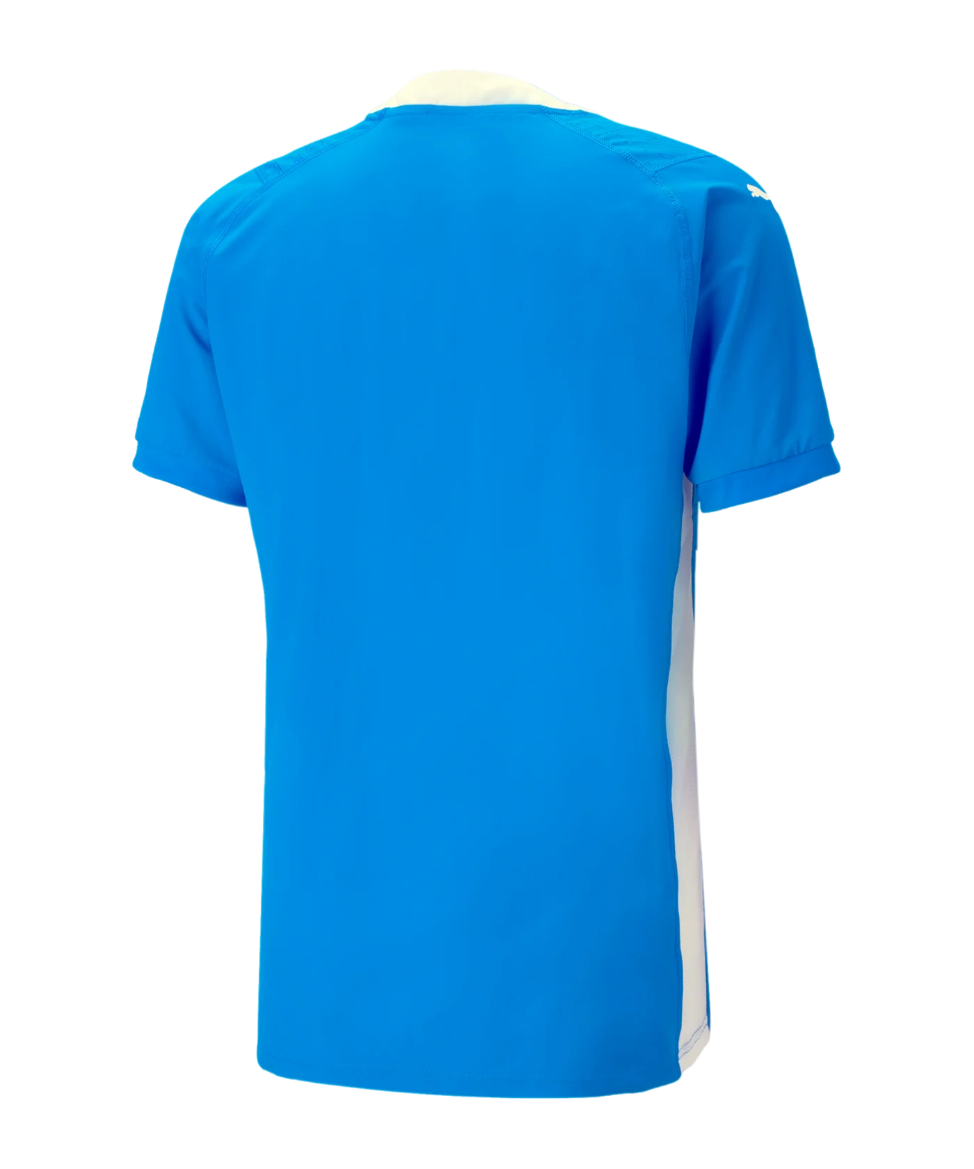 PUMA teamCUP Trikot Blau F02