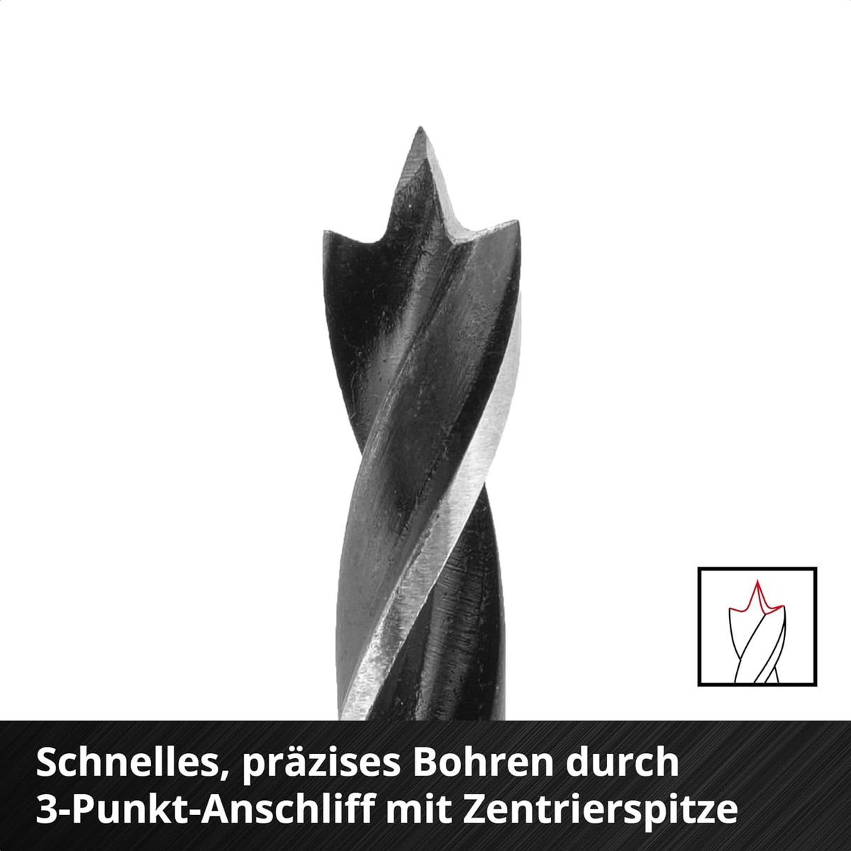 Einhell S-CASE 10-delige houtborenset (dubbele spiraal, van rolgesmeed gereedschapsstaal C45, E 6.3 schacht, 3-punts geslepen, centreerpunt incl. opbergbox)