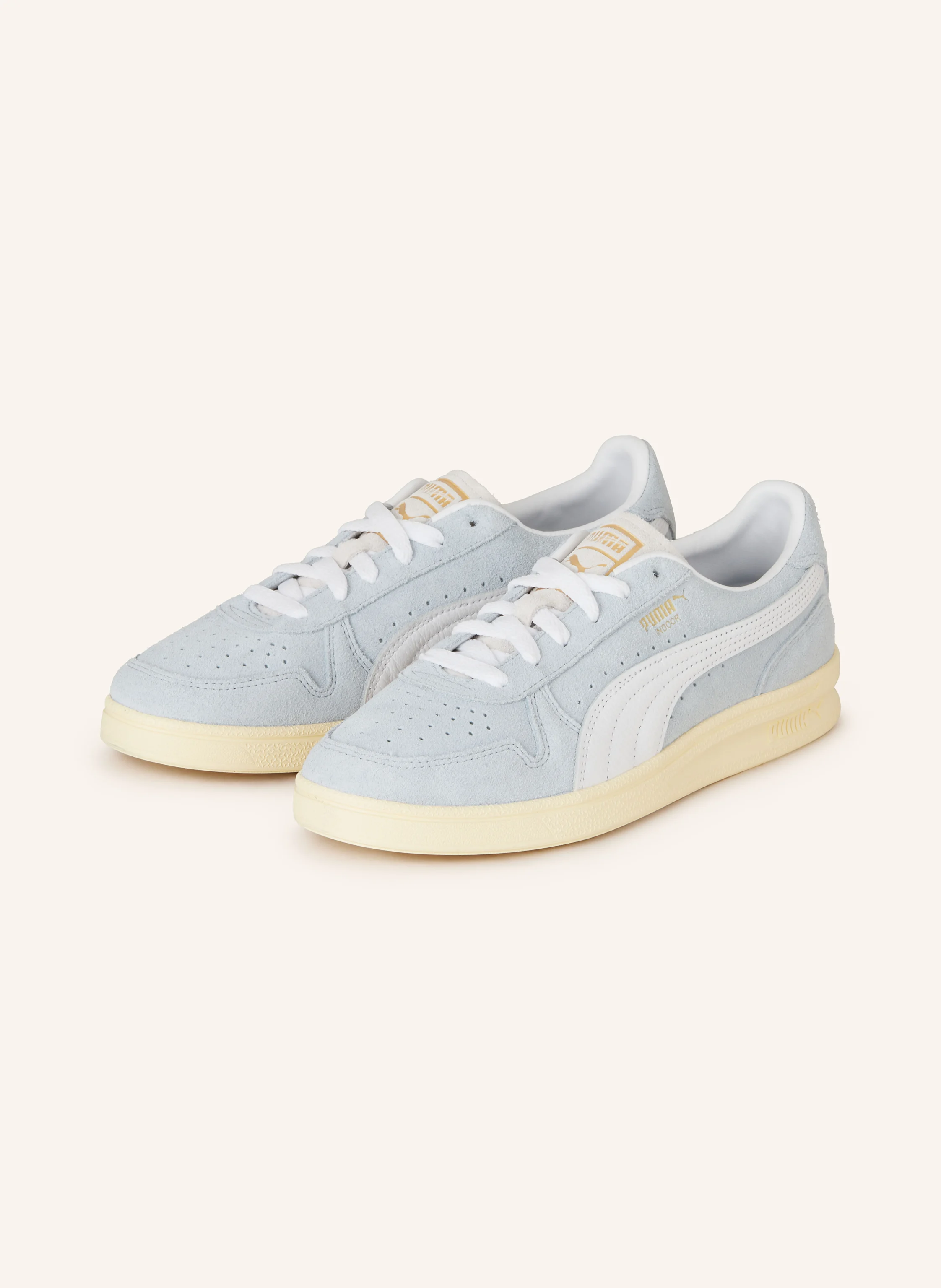 PUMA Sneaker INDOOR SOFT