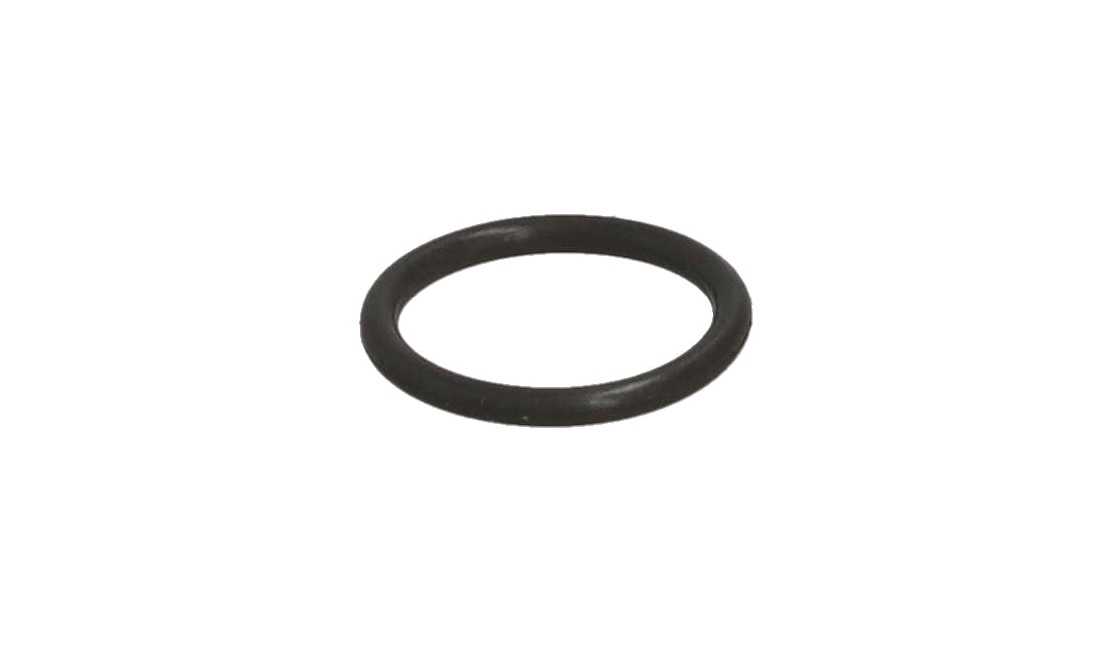 O-ring krumtap, højre, Peugeot XR6