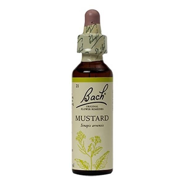 Mustard (Estabilidade) Floral De Bach