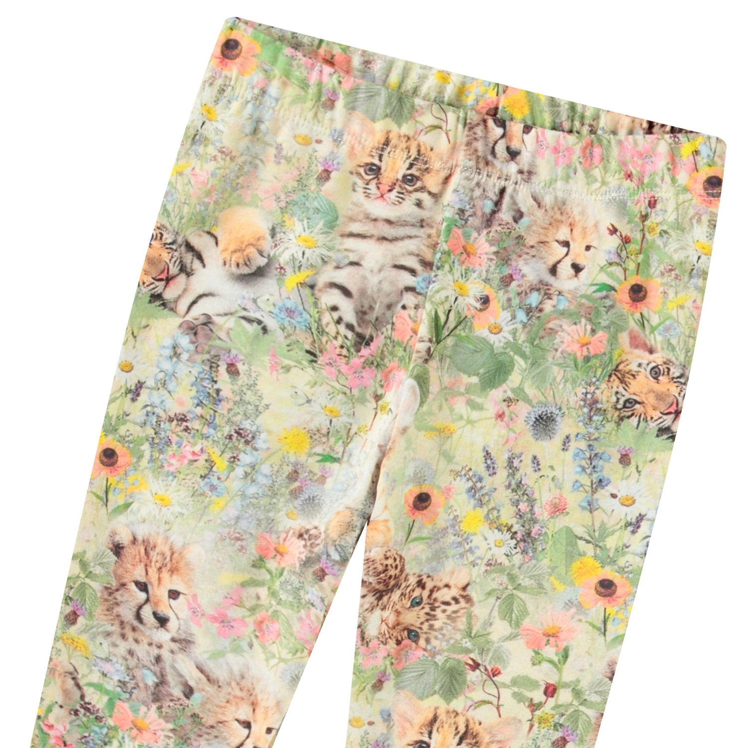 Stefanie - Meadow Cubs