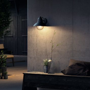 Philips buitenlamp Hoverfly zwart