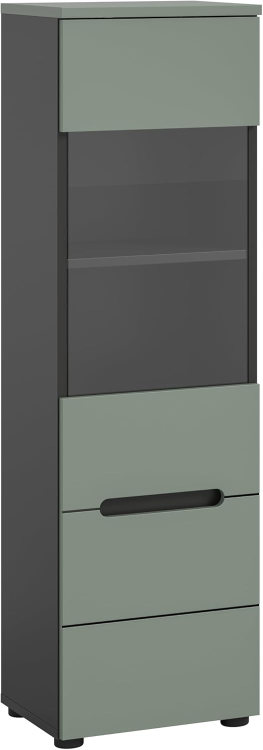 xonox.home - Vitrine Canu 36x125x33 cm in Korpus Basalt grau Nb. und Front Smoke Green Nb. - Glasvitrine Dekoschrank Glas-Kommode Stauraumschrank - modern & platzsparend