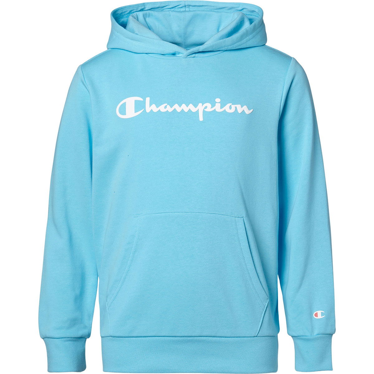 Champion Script Logo Hættetrøje Børn