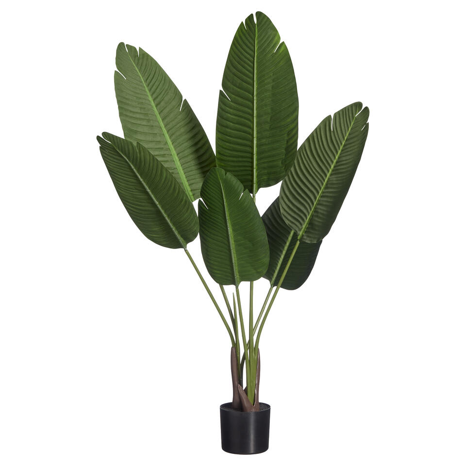 Kunstplant Strelitzia Groen