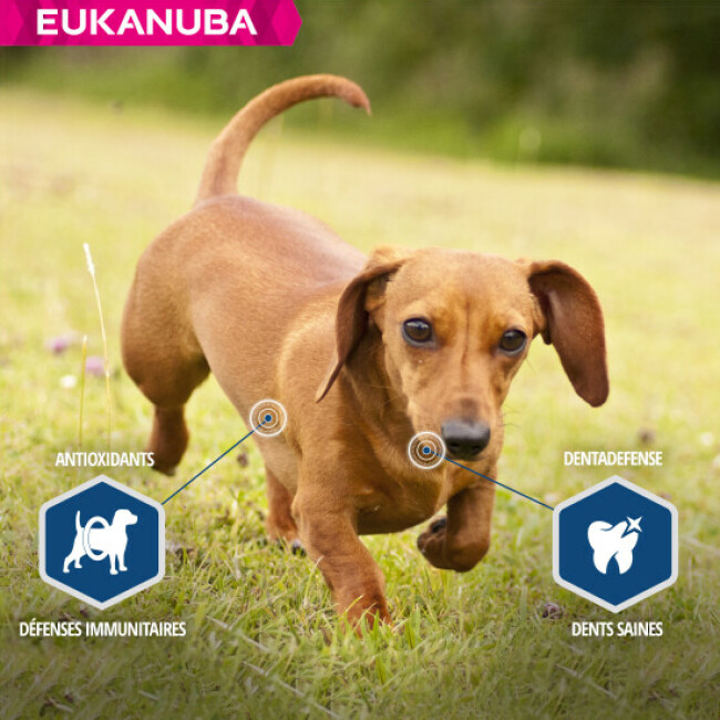 Croquettes Eukanuba Adulte Daily Care Surpoids ou Stérilisés