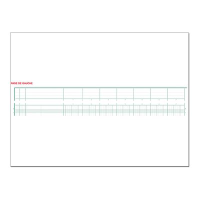 Exacompta - Piqûre tête paresseuse - 17 colonnes sur 2 pages - 27 x 32 cm