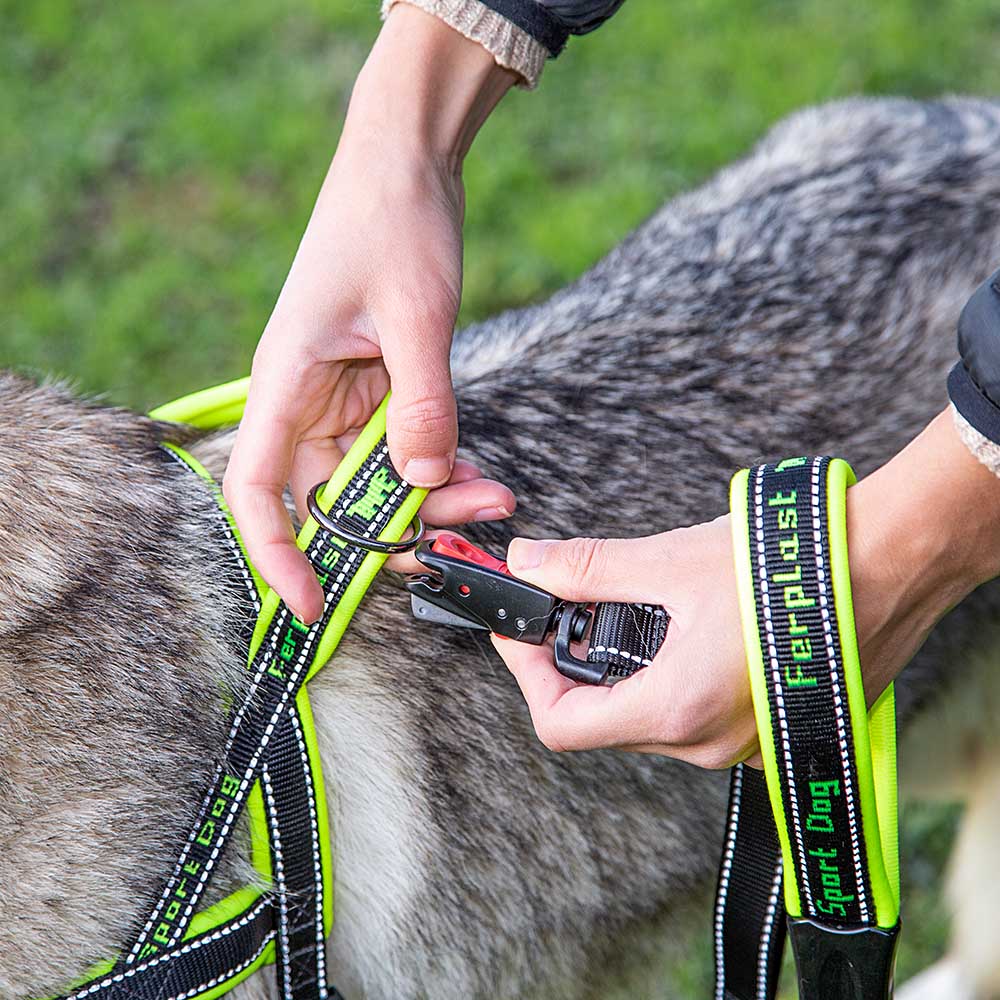 Ferplast harnais de type suédois pour chiens sport dog p large, adaptabilité parfaite, rembourrage souple, coutures