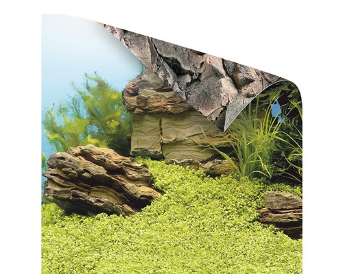 Achterwandposter JUWEL Planten/Stenen 60x30 cm