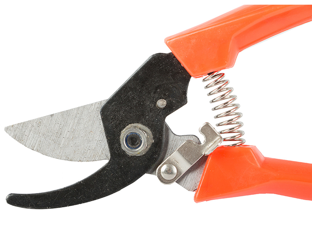 Garten-Handschere, Strauchschere