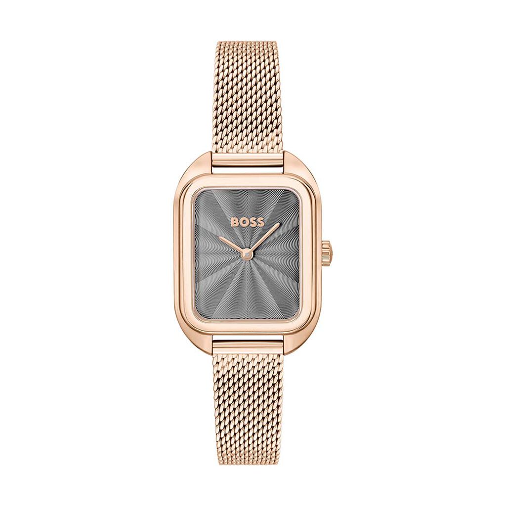 Montre Boss balley Gris