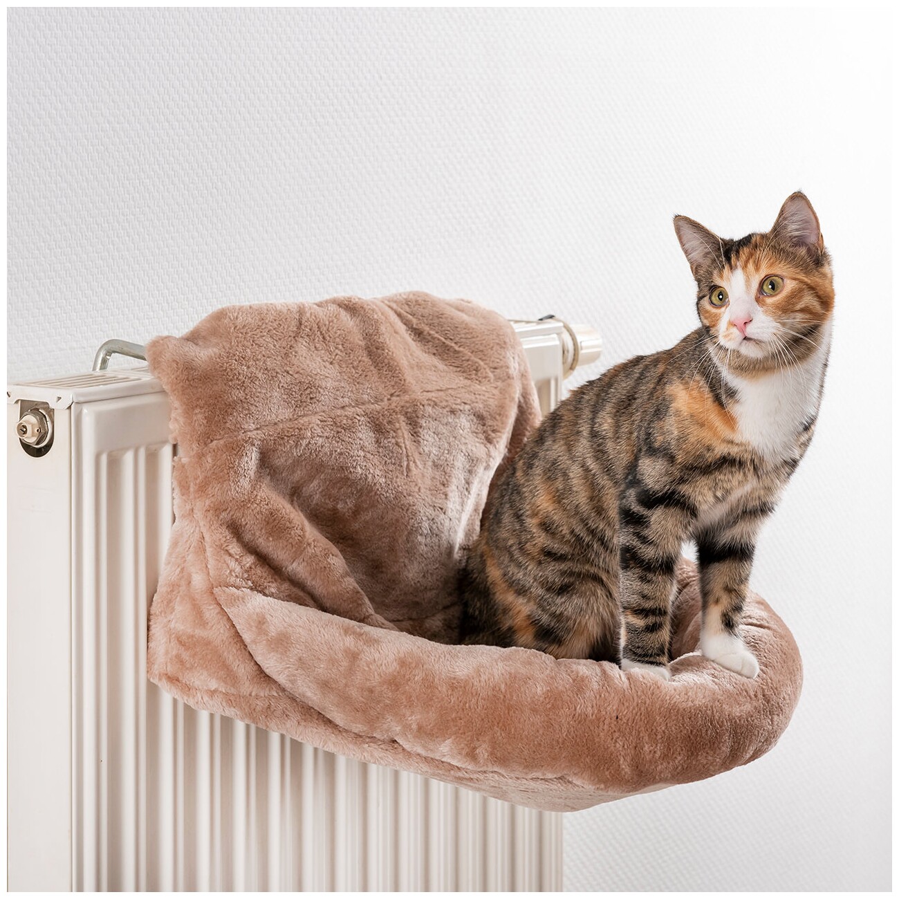 Canadian Cat Company Kuschelsack für Heizkörper beige