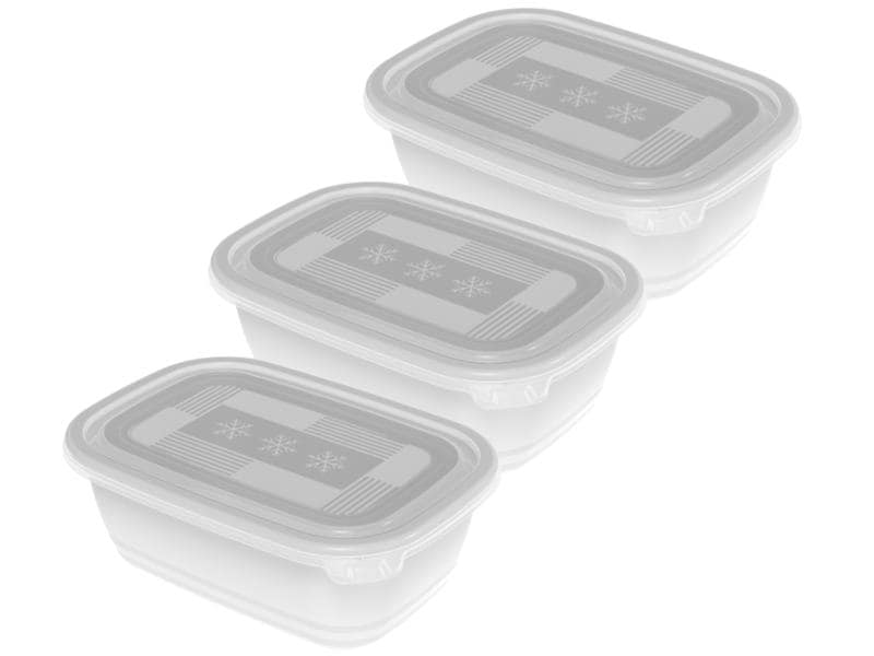 Rotho Vorratsbehälter Freeze 3 Stück, 1 l, Transparent Gefrierdosenbox für Lebensmittel