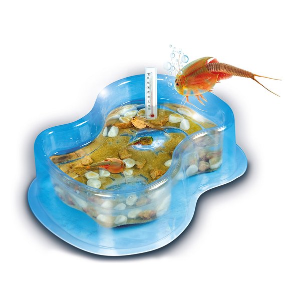 Mini Triops