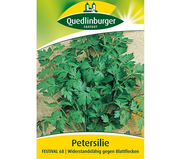 Quedlinburger Samen Petersilie 'Festival 68'