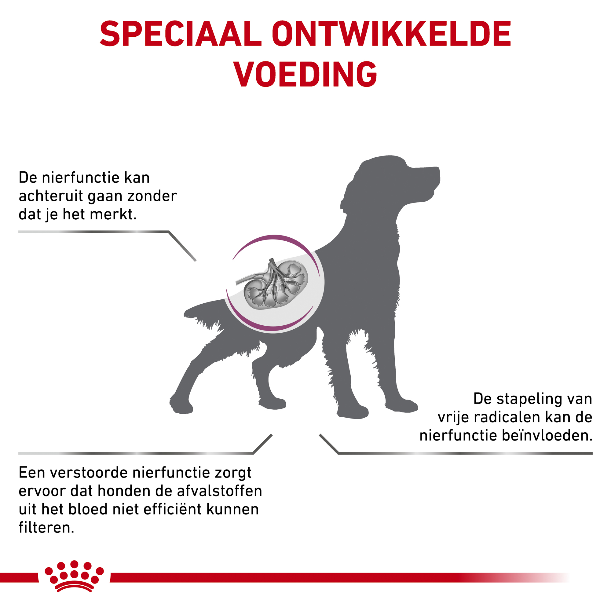 Royal Canin Early Renal Hond