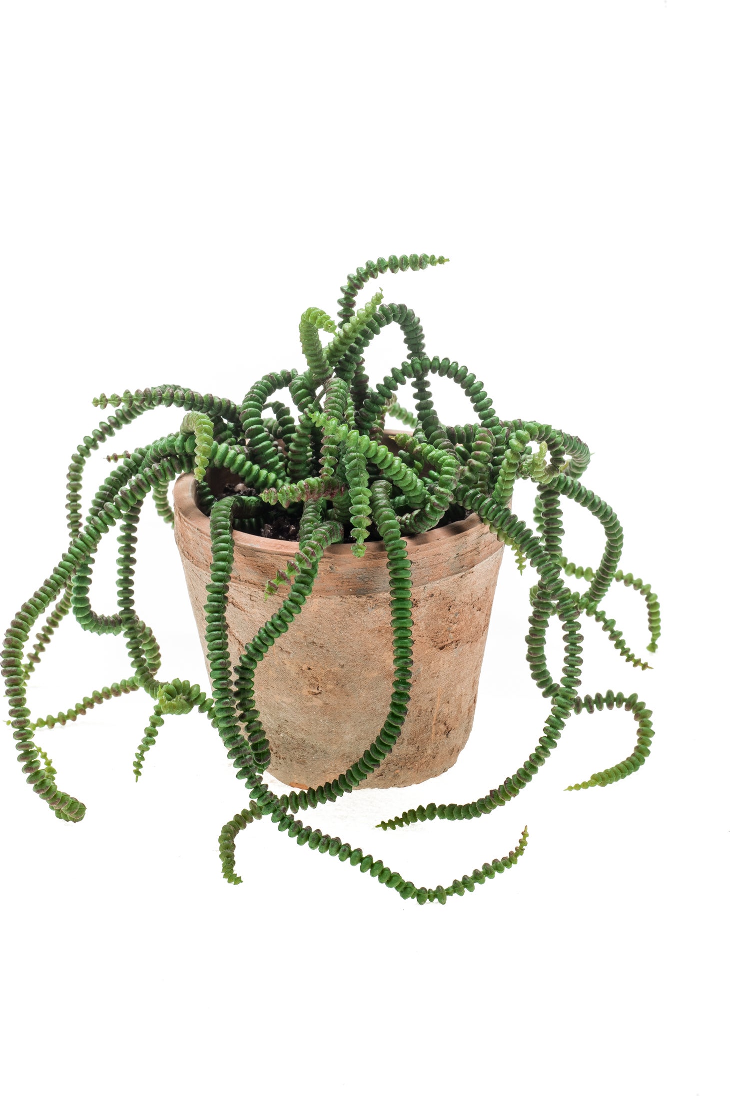 Emerald kunstplant crassula 30 cm
