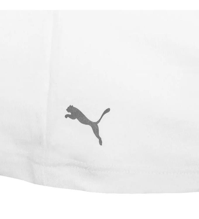 PUMA Men Basic 2P V-Neck T-Shirt