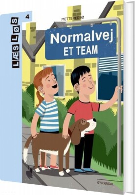 Normalvej. Et Team - Mette Vedsø - Bog