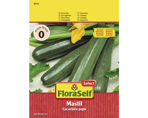Courgette 'Mastil' FloraSelf F1 Hybride Groentezaden
