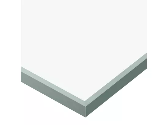 Porte coulissante Verre ESG et aluminium 90x205 cm Argenté