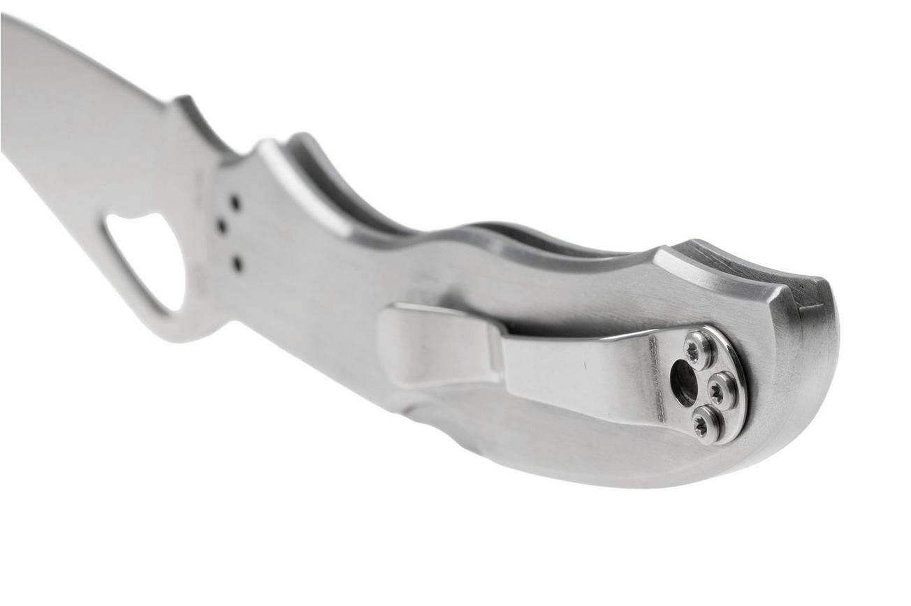 Spyderco Byrd Harrier 2 Stainless BY01P2 zakmes